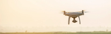 Flying drone above the wheat field Tobacco farm, Drone, Agriculture, Technology, Farm, Agricultural Field, Crop - Plant, Flying, Nature, Landscape - Scenery, Rural Scene, Sky, Growth, Motion, Plant, Sunset