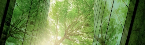 Header-Image-Webseite-1600-×-500-px-1-.jpg
