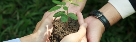 Header-Image-Webseite-1600-×-500-px-6-.png