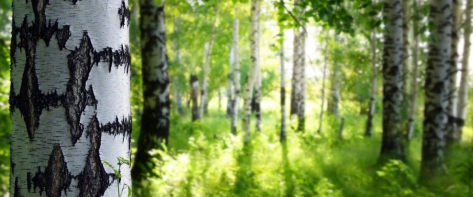 GettyImages-104433022-1200x811.jpg