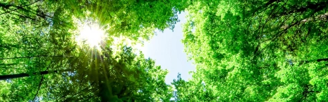Carbon footprint services high res header