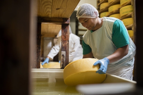 Food & Beverage- Cheese being made 