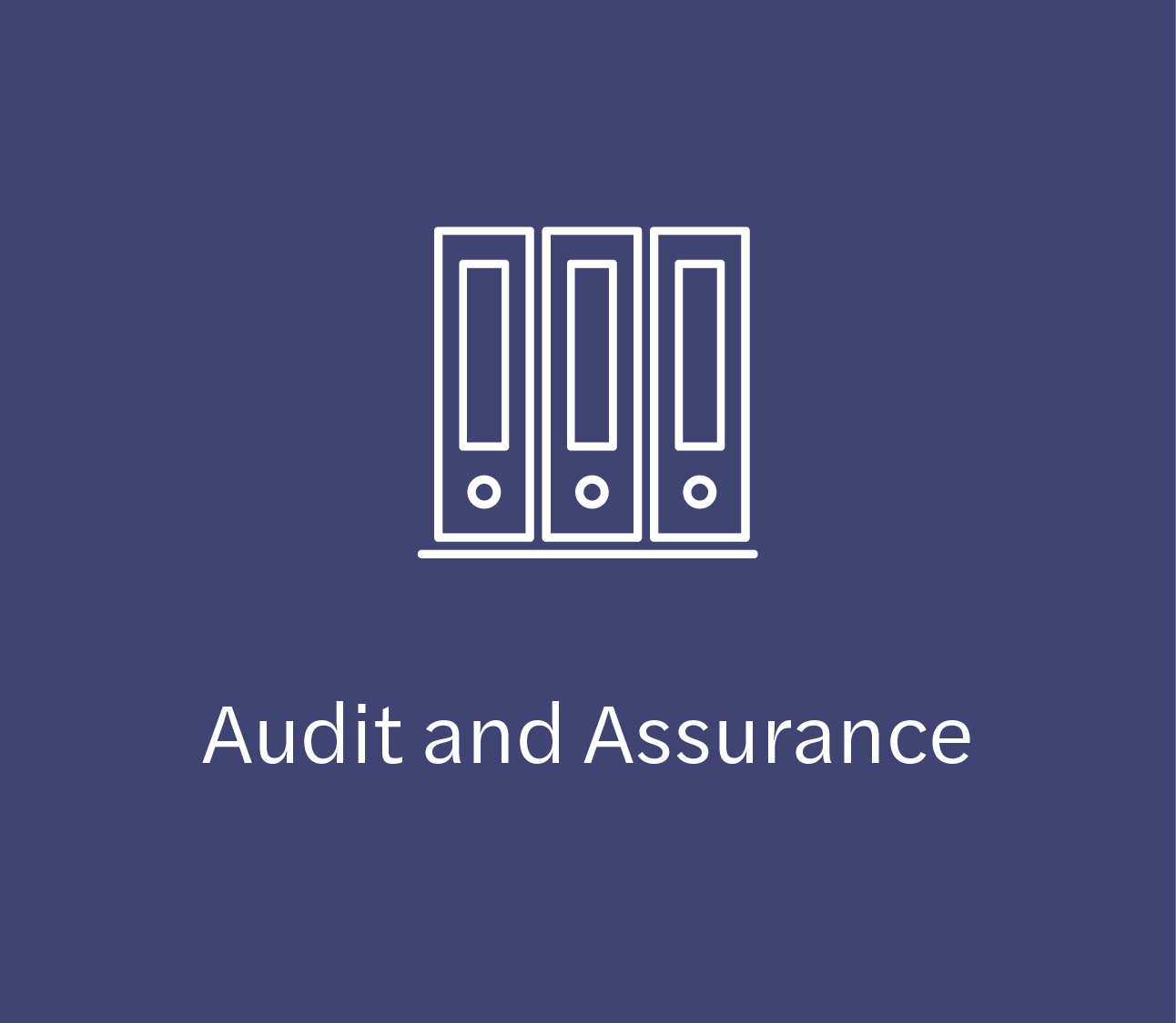 Eng_Audit
